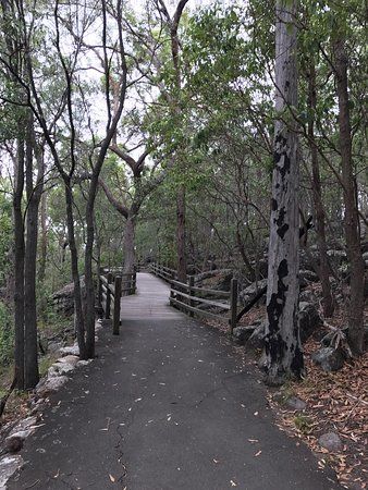 Toohey Forest